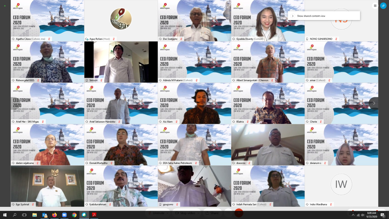 Peserta Webinar CEO Forum 2020