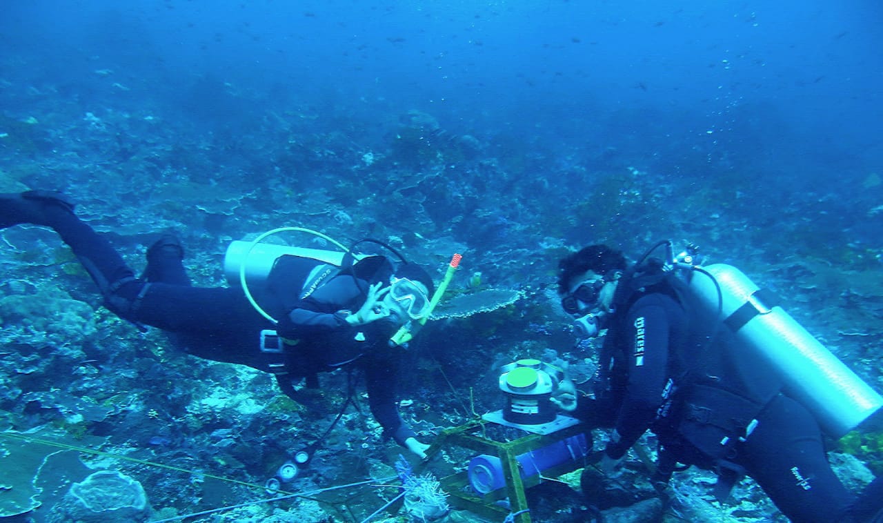 arus laut