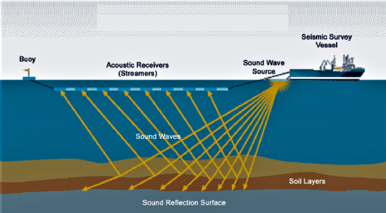 seismic