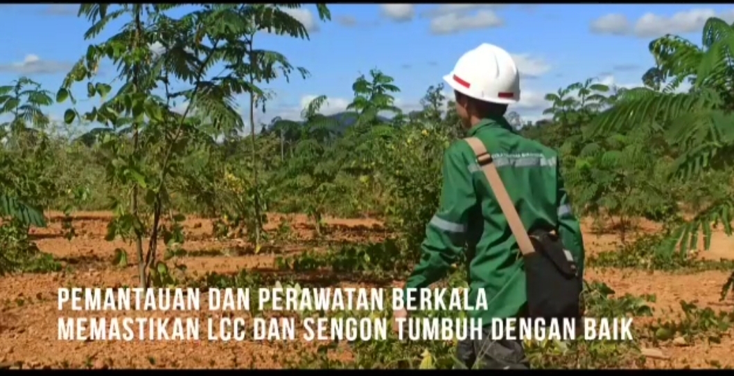Petugas secara berkala melakukan pengecekan tumbuhan