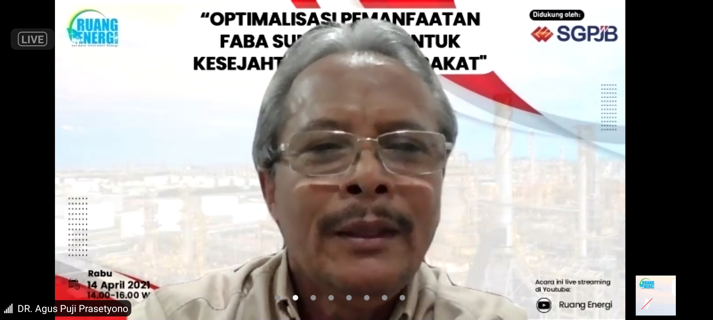 Anggota DEN Agus Puji Prasetyono