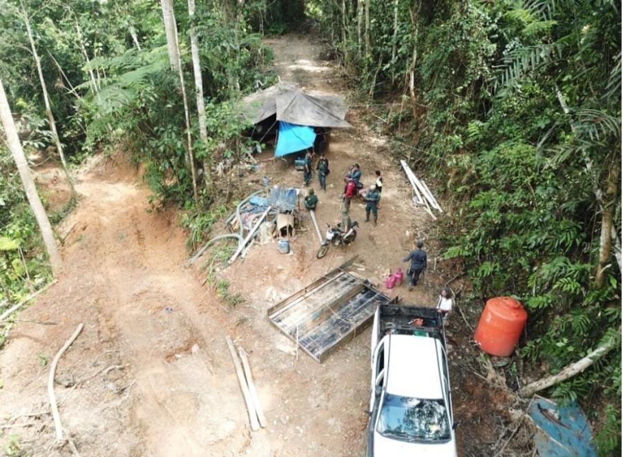 KLHK Tambang emas Ilegal