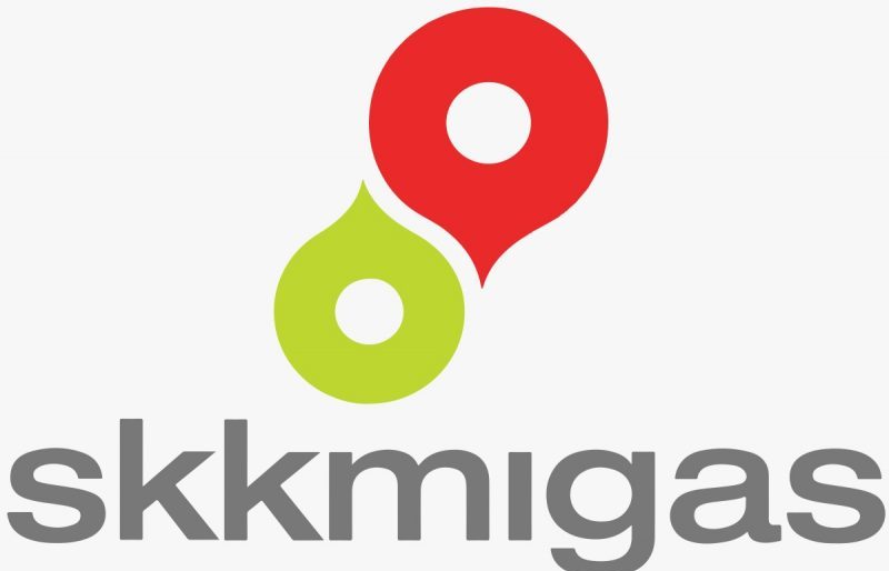logo skk